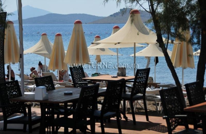 Апартаменты Dilek Agaci Boutique Hotel & Beach 3*