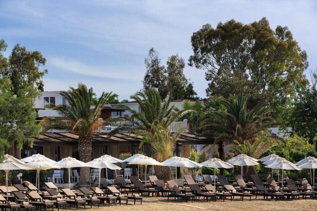 Фотографія Princess Artemisia 3*