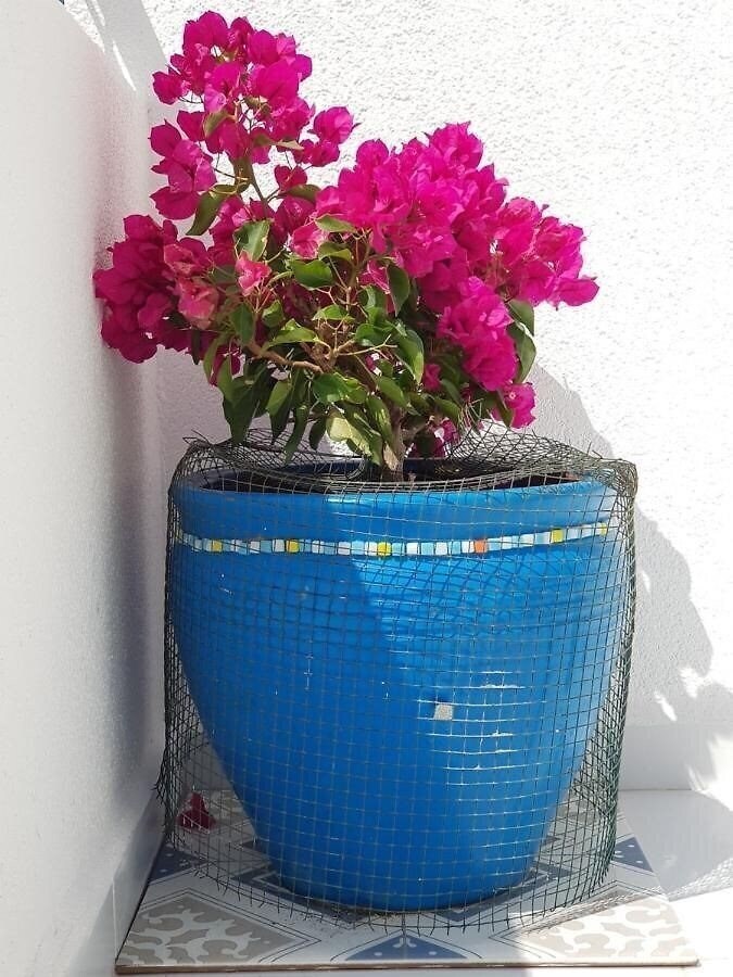 Территория Apartment Begonville Апартаменты апартаменты