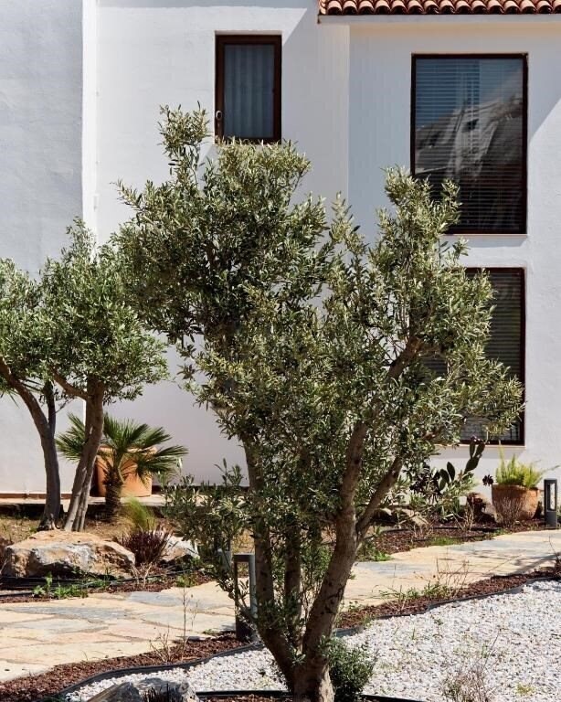 Вид Casa Caria Hotel (ex. Casa Caria Suites, Casa Caria Salmakis, Casa Caria Boutique Hotel) 3*