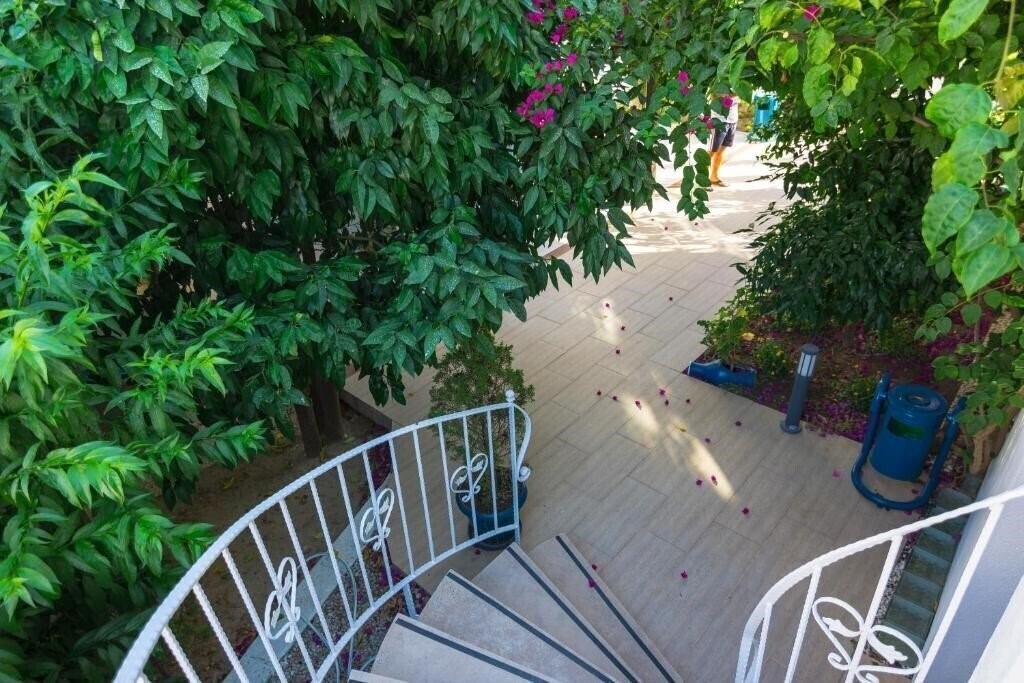 Территория Cotton Boutique Hotel 3*