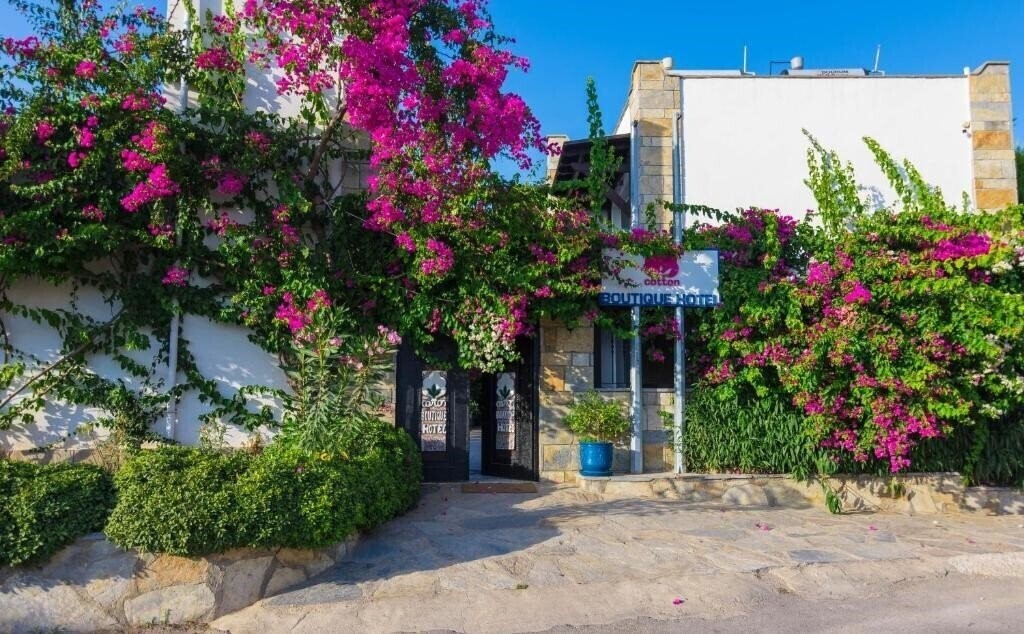 Вид Cotton Boutique Hotel 3*