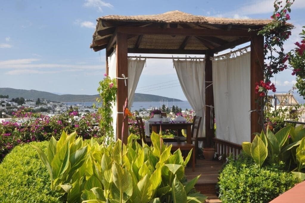 Изображение El Vino Hotel & Suites 3*