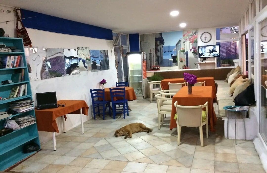 Вид Gozdedeniz Hotel Bodrum (ex. Gozde Deniz Hotel) 2*