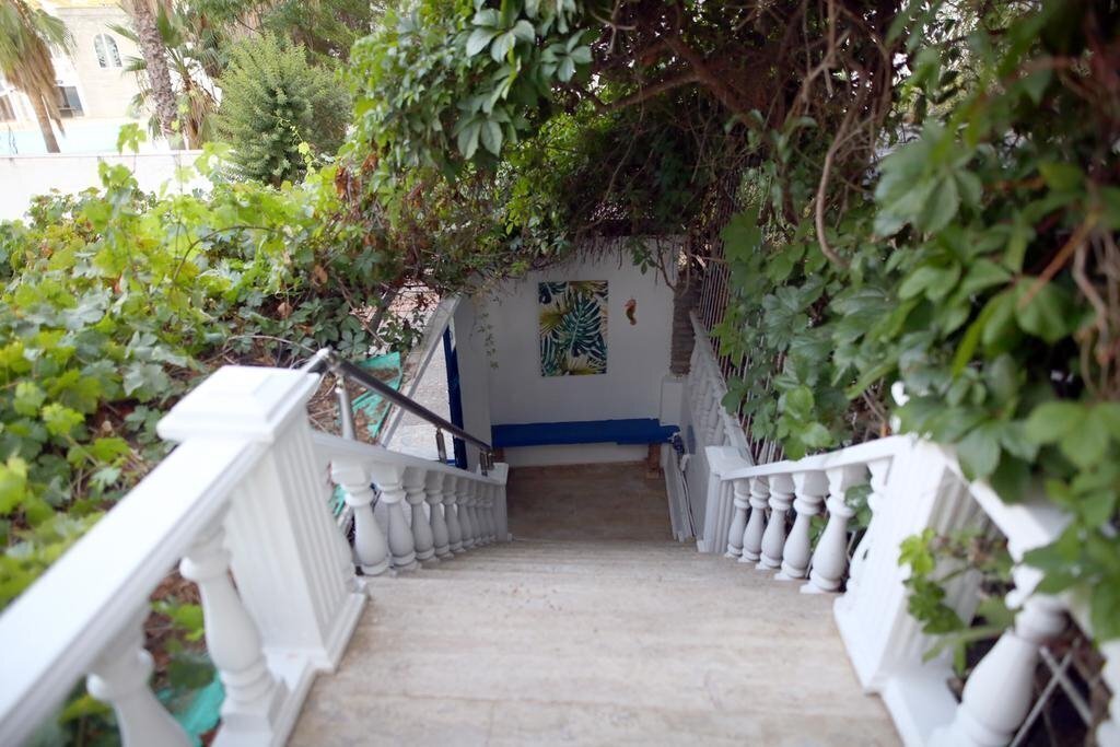 Вид Hotel Olivia 3*