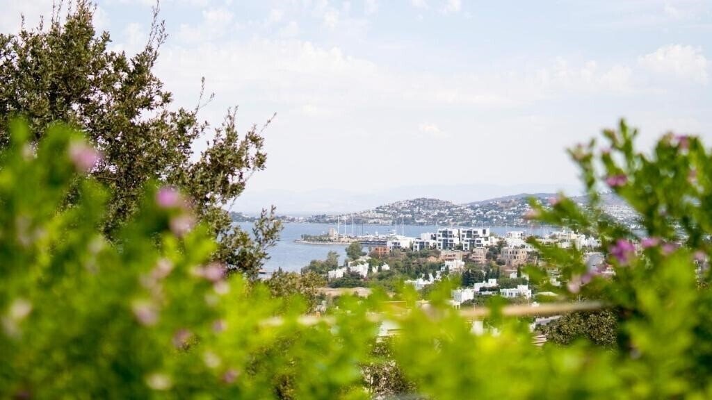 Панорама Spektr Boutique Hotel & Spa 4+* 4*