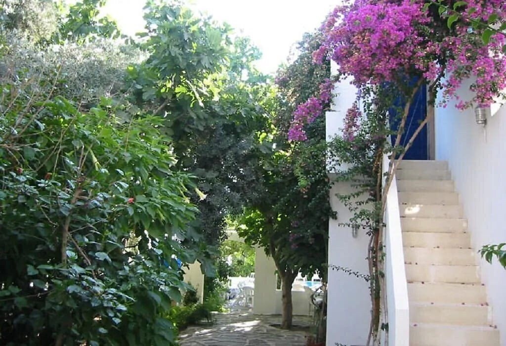 Фотография Mavi Apart Hotel (ex. Mavi Apart Otel) 3*