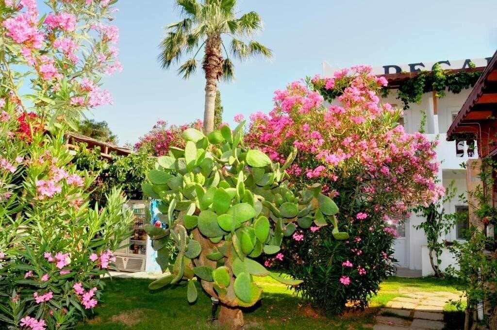 Апартаменты Regal Hotel 2*