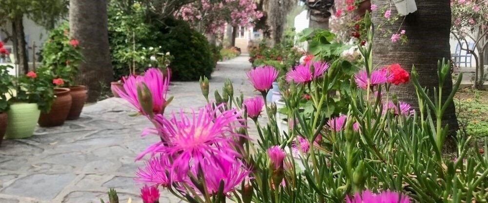 Вид Tamarisk Murat Hotel 3*