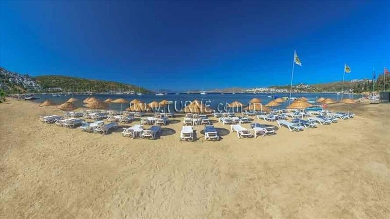 Територія Kassandra Hotel 3*