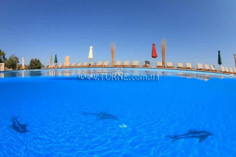 Територія Shamana Hotel & Spa 4*