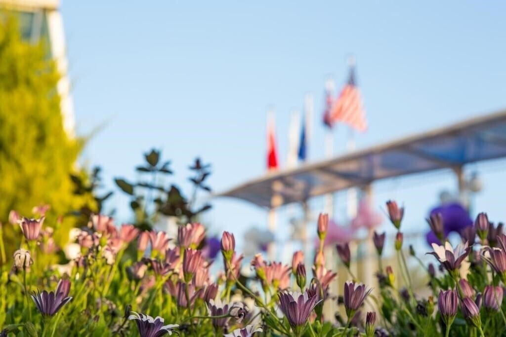 Апартаменты Aes Club Hotel 4*