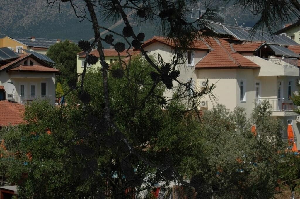 Панорама Tolay Hotel 3*