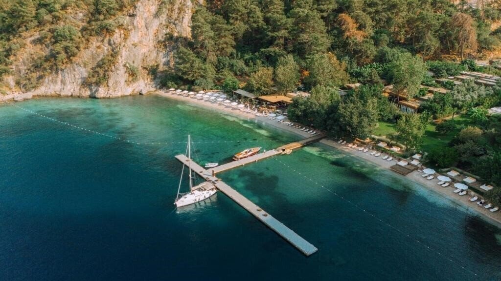 Отель Yazz Collective 5*