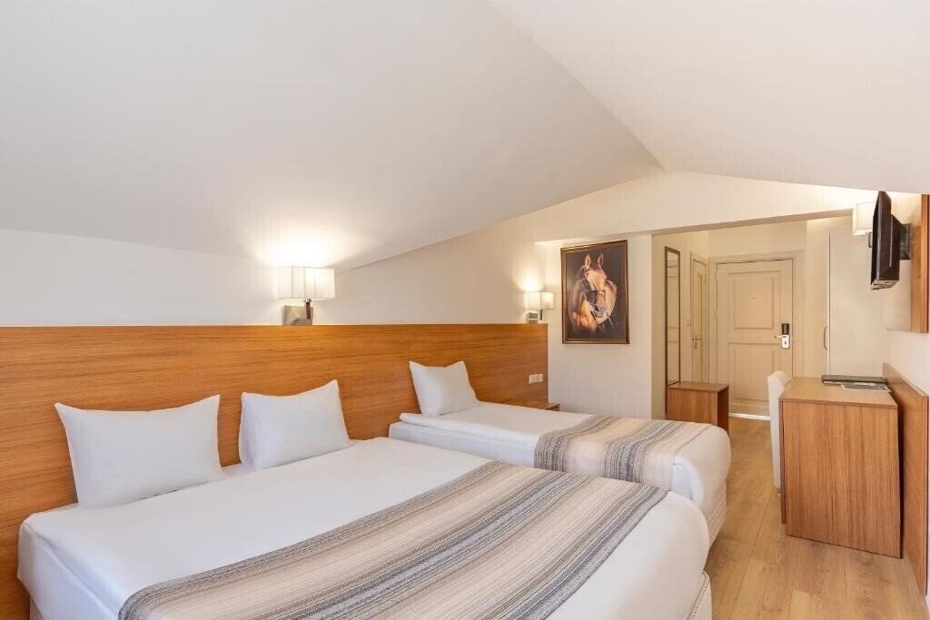 Картинка Mirada Del Monte (Erciyes) 3*