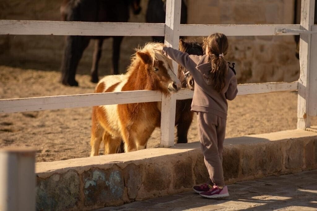 Панорама AJWA Cappadocia 5*