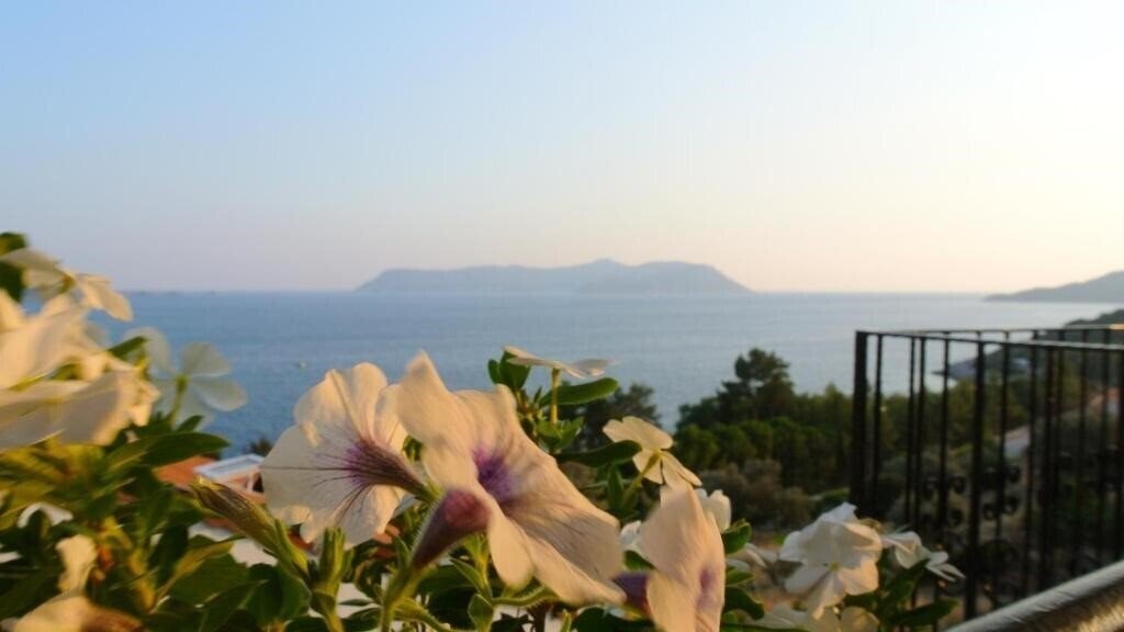 Панорама Hideaway Hotel (ex. Hotel Hideaway, Hideaway) 3*