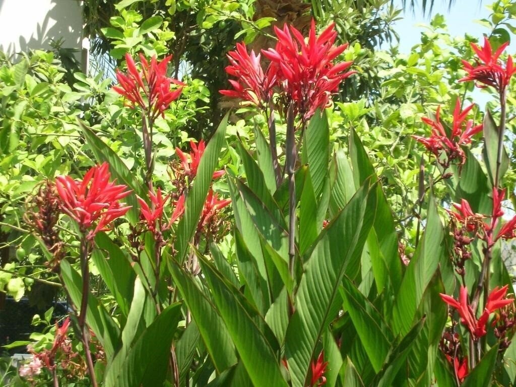 Панорама Flower Hotel 3*