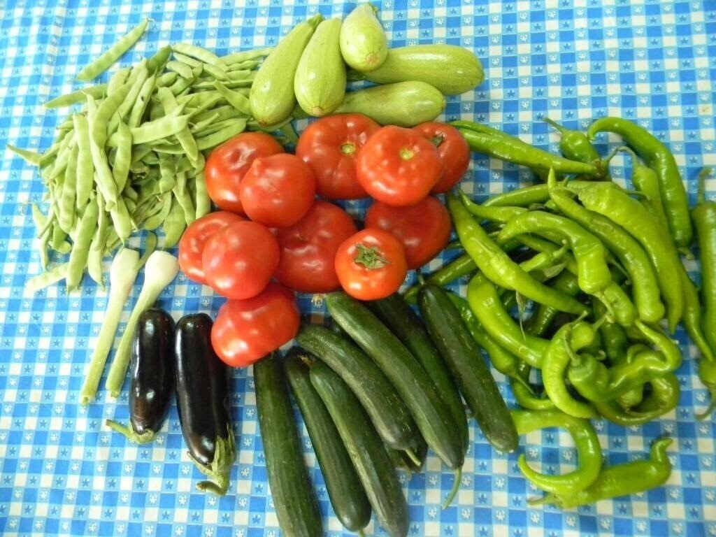 Територія Armina Hotel 3*