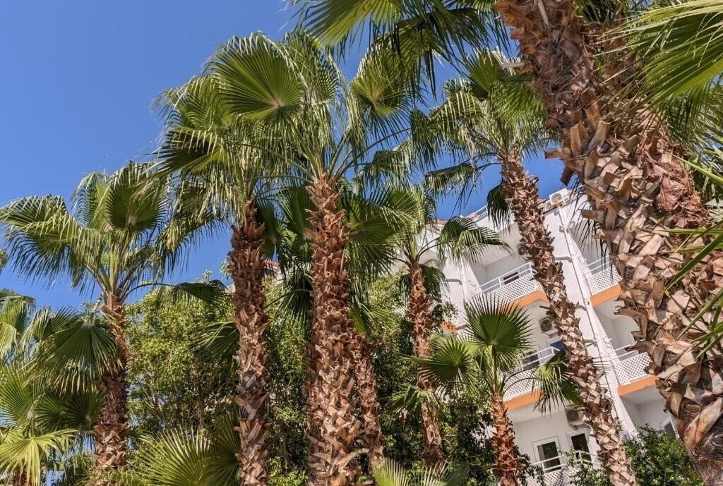 Панорама UK Hotel Kiris (ex. Everytime Hotels Kiris) 4*