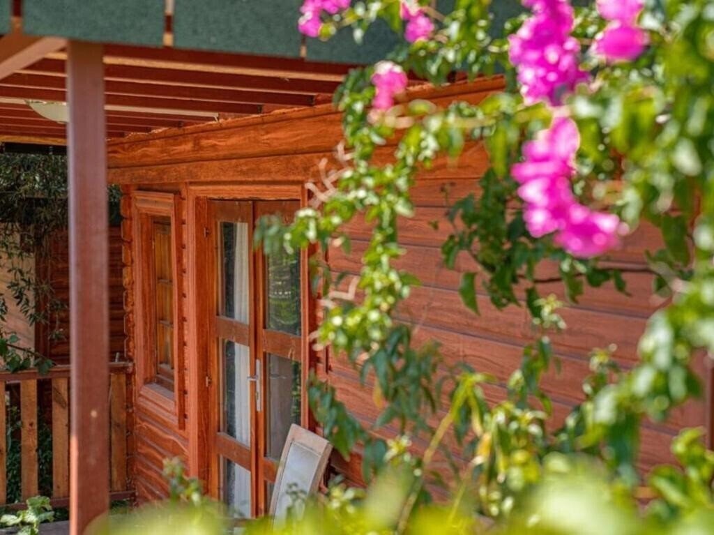 Вид Felicity Hotel & Bungalows 3*