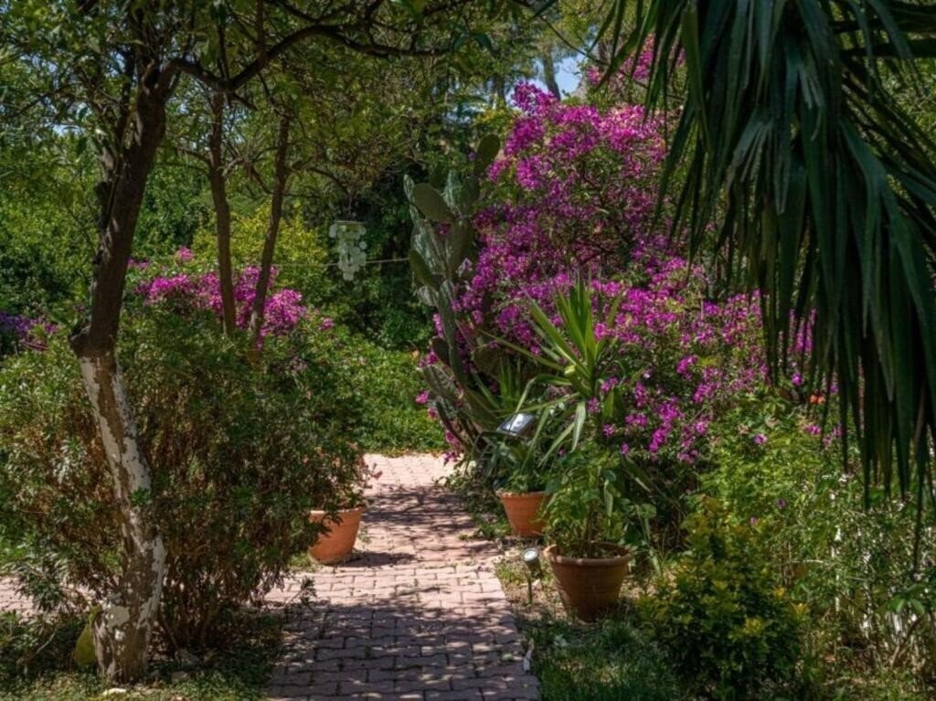 Апартаменти Felicity Hotel & Bungalows 3*