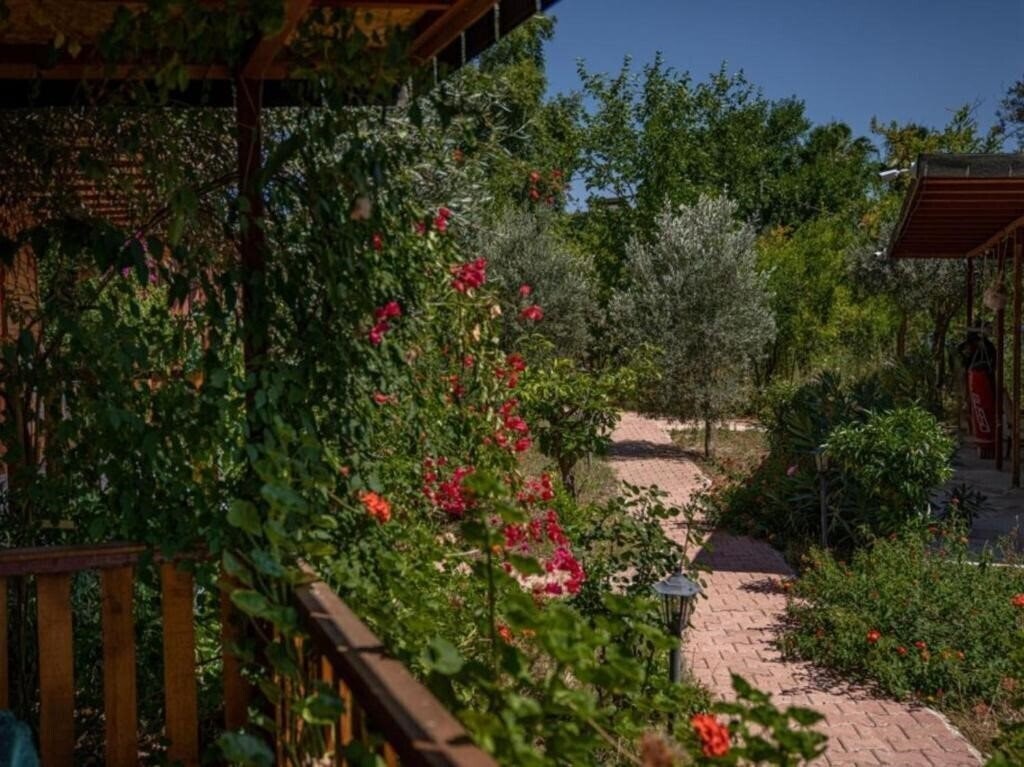 Зображення Felicity Hotel & Bungalows 3*