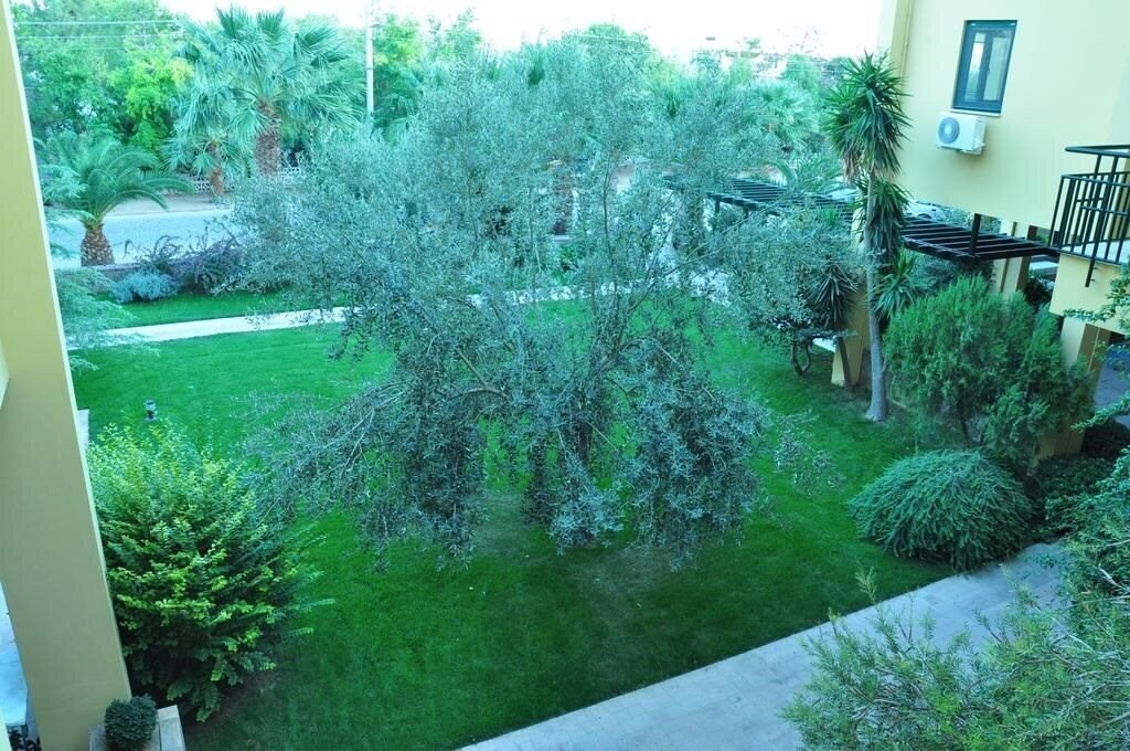 Апартаменти Palm Court Suites 3*