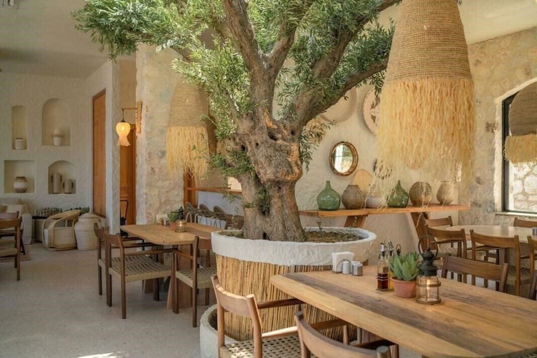 Территория Alya Villa Boutique Otel 3*