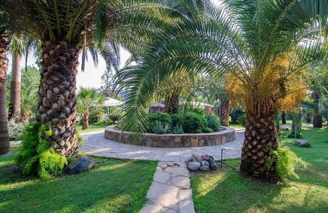 Вид Holiday Calbis 3*