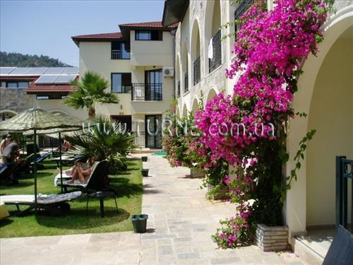 Територія Sun Love Hotel 4*