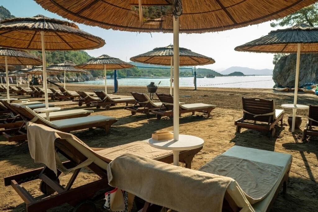 Панорама Tui Blue Seno 4*