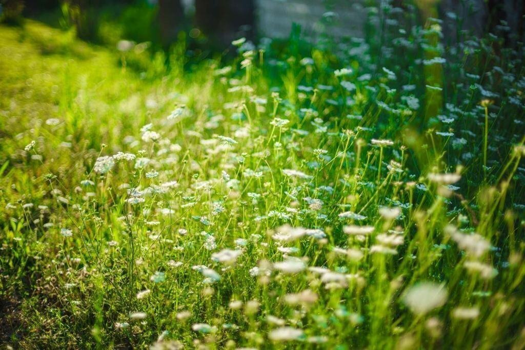 Территория Nergos Garden 4*