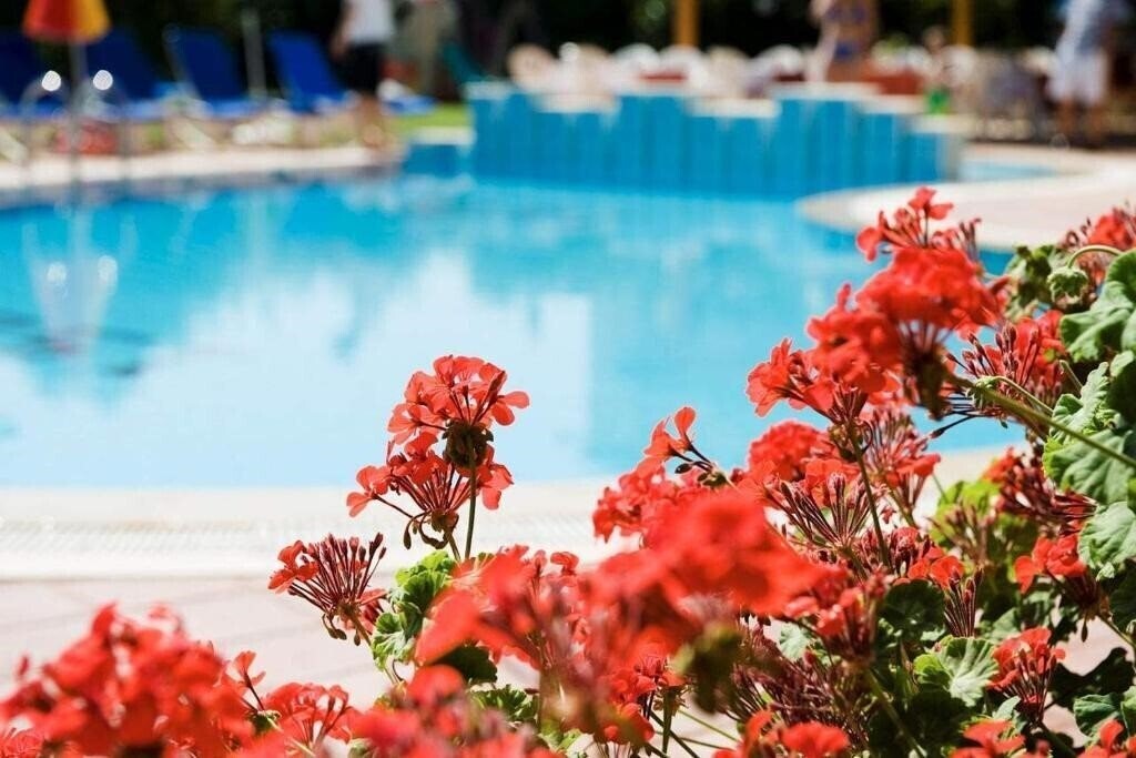 Вид Begonville Apart 3*