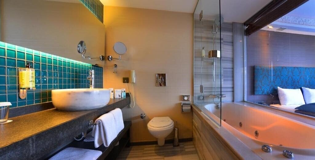 Вид Pera Tulip Hotel 4*