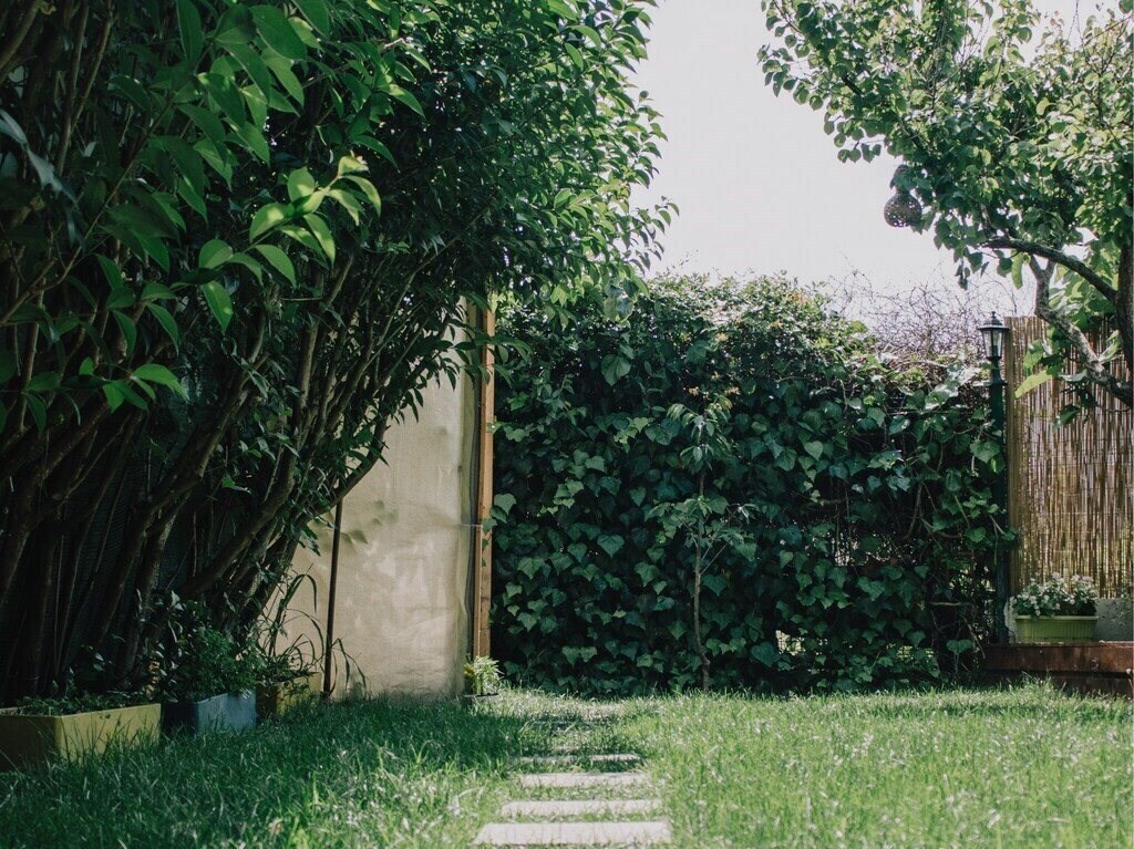 Фото Agva Marina Hotel (ex. Marina Motel) 3*