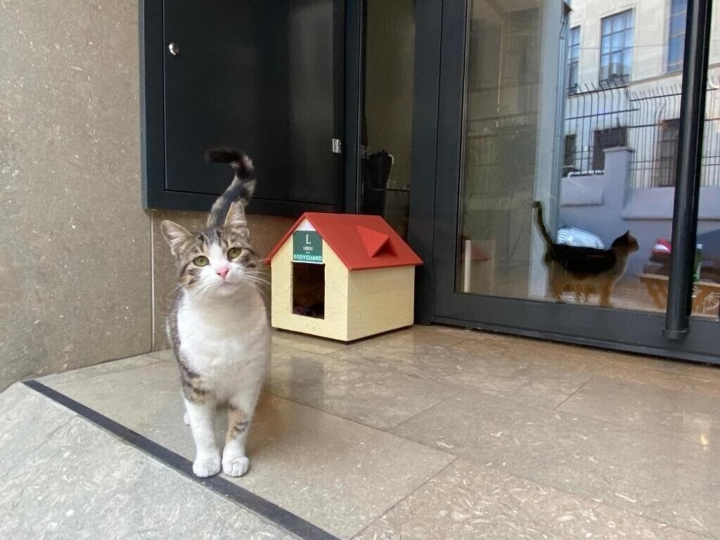 Панорама Liberi Hotel Taksim 3*