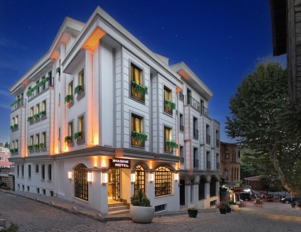 Зображення Imagine Hotel 4*