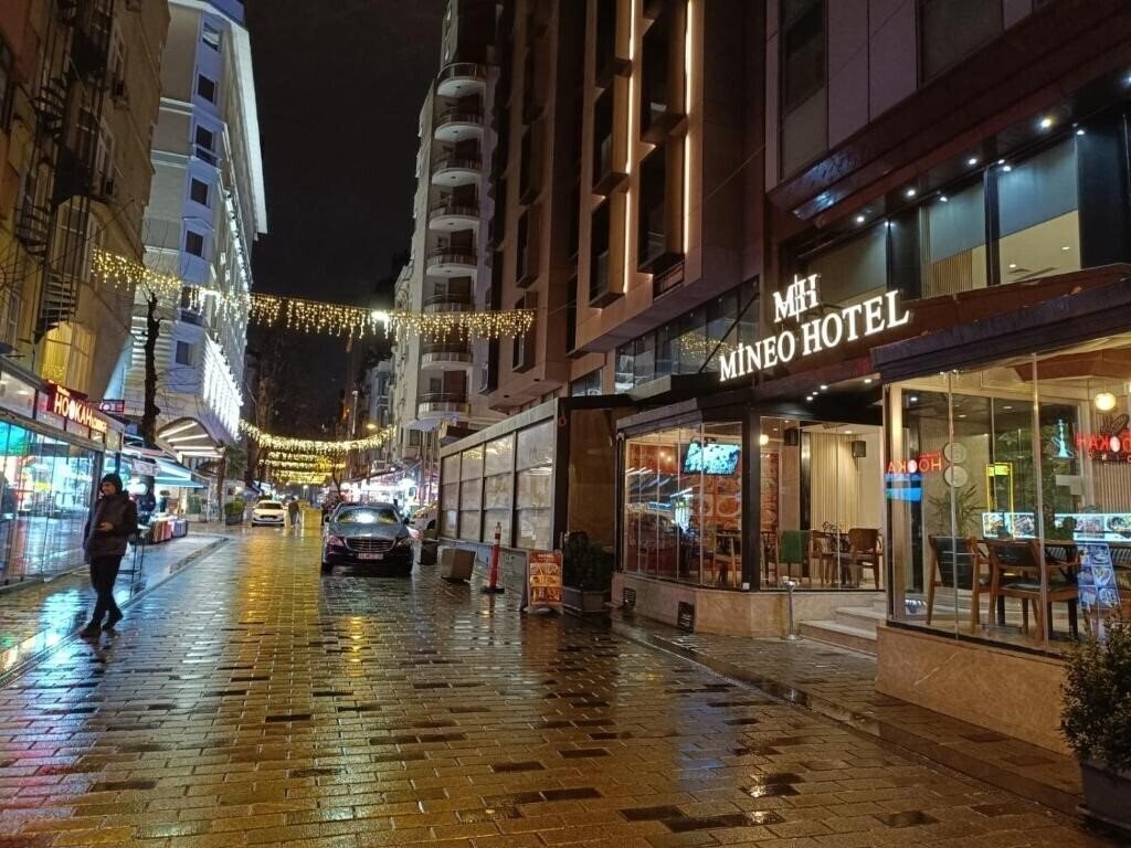 Отель Mineo Hotel Taksim 4*