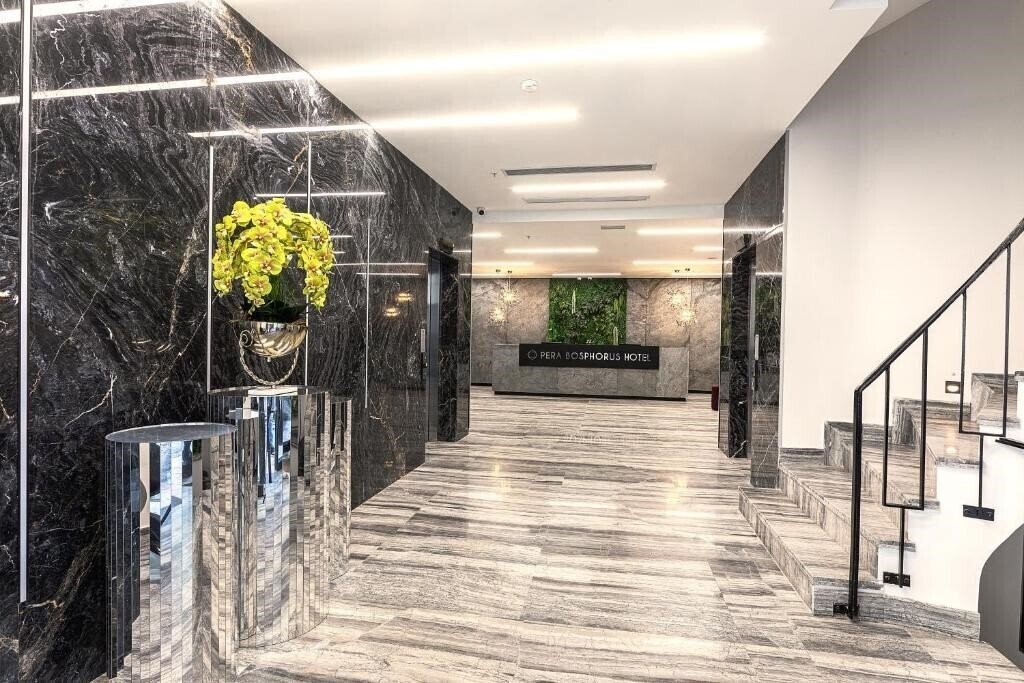 Вид Pera Bosphorus Hotel 4*