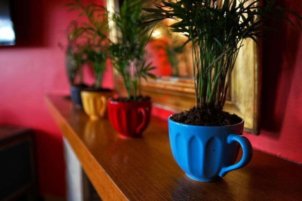 Зображення Nomade Old City Hotel (ex. Nomade, Nomade Oldcity) 3*