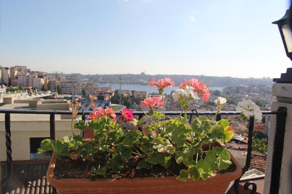 Апартаменты Euro Plaza Hotel 4*