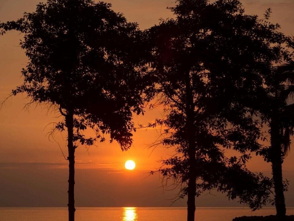 Панорама Royal Axis Suites 3*