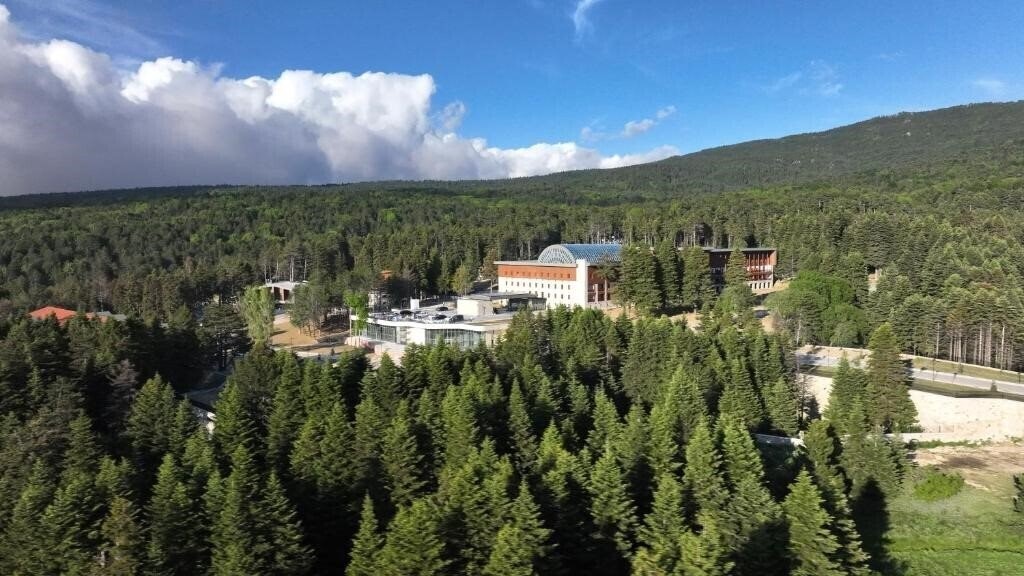 Отель Swissotel Uludag Bursa 5*