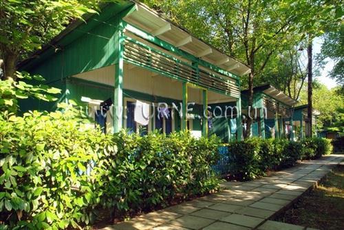 Вид Чайка ТОК