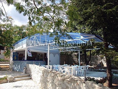 Изображение Чайка ТОК