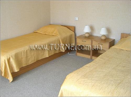 Фото Чайка ТОК