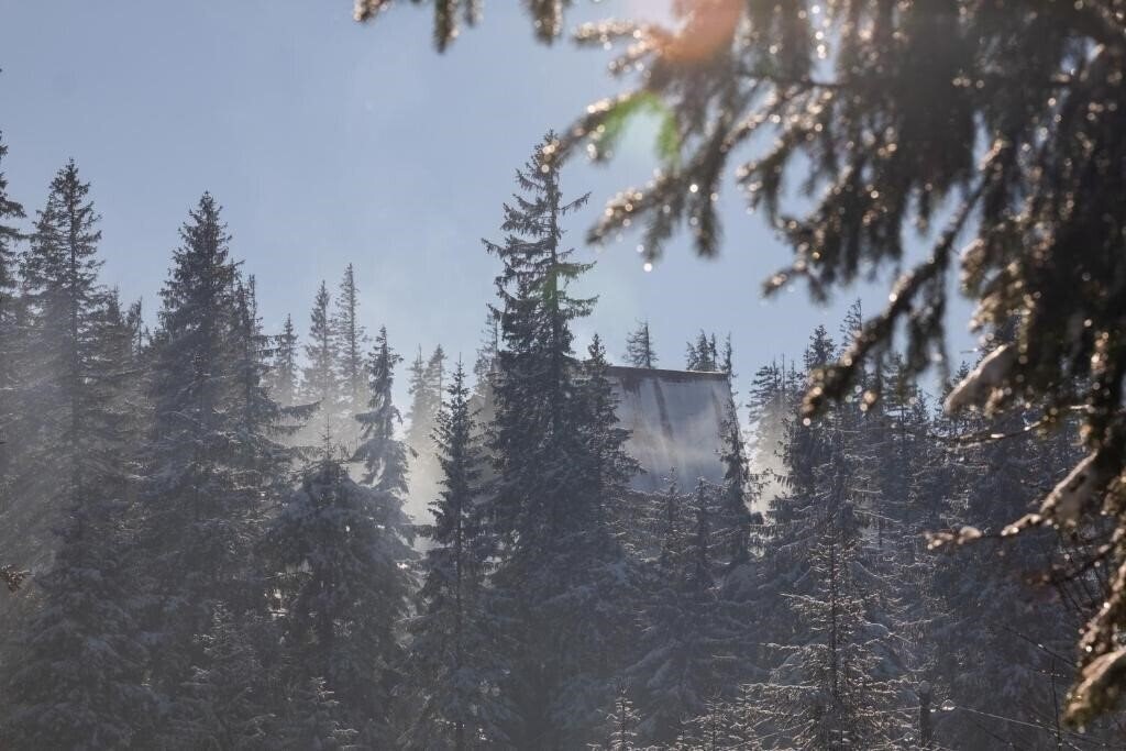 Территория Diamant Dragobrat 3*