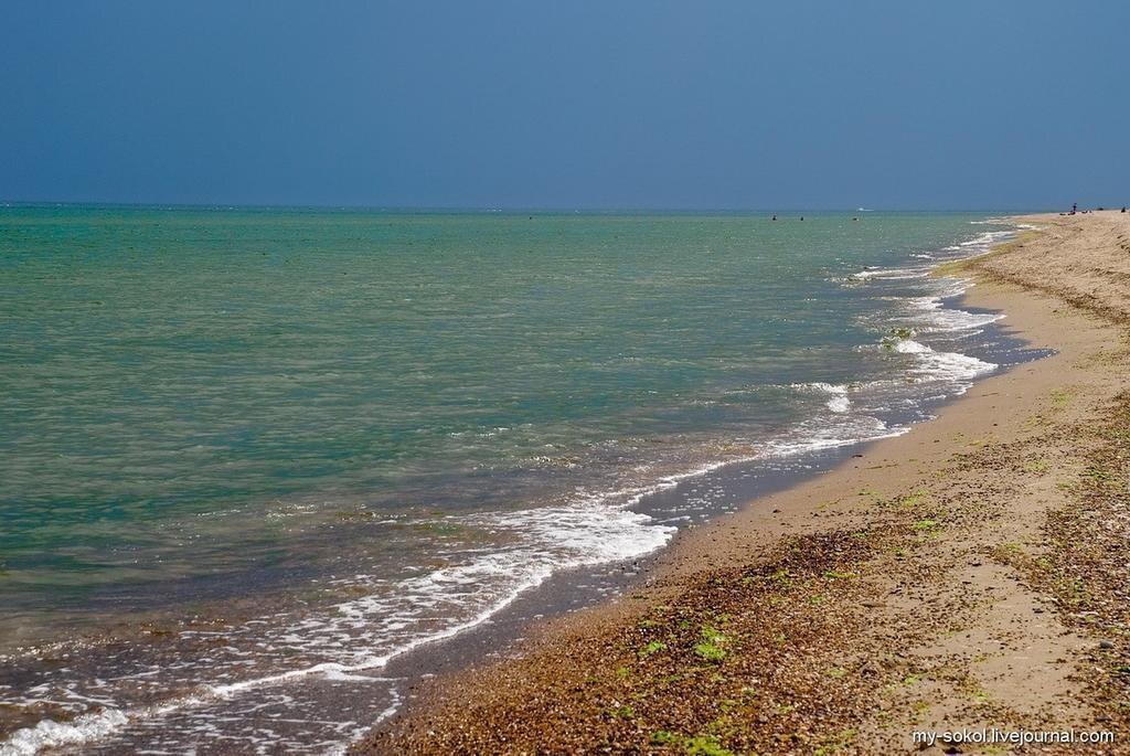 Вид Солнечная База Отдыха база отдыха