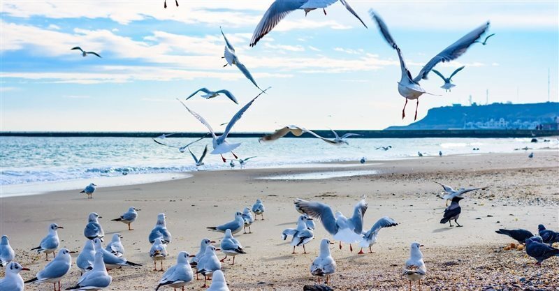 Територія Апартаменты в Лузановке апартаменты